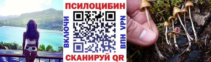 Купить  Минусинск  Галлюциногенные грибы GOLDEN TEACHER 